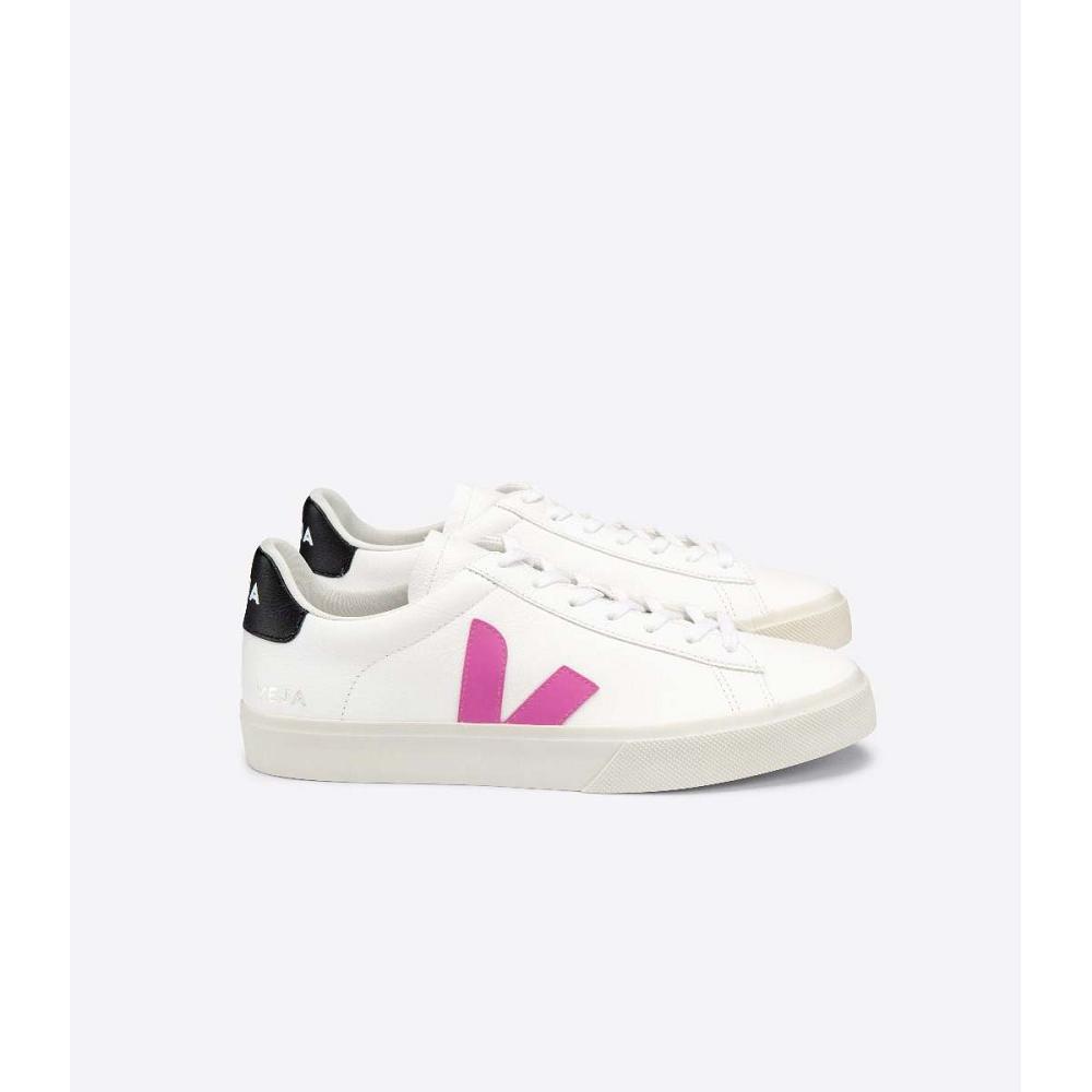 White/Purple Women\'s Veja CAMPO CHROMEFREE Low Tops Sneakers | AU 597FDN